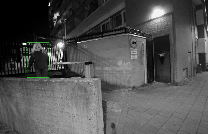 Night vision image